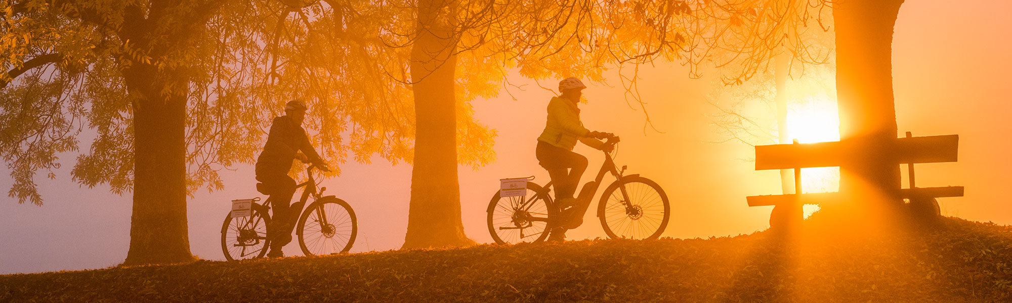 Zwei Radfahrer fahren entlang der untergehenden Sonne
